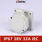 48V 32A IP67 3P Low Voltage Panel Mounted Socket IEC Standard for sale