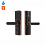 Intelligent Password Fingerprint Door Lock TTlock Auto Door Locks For Home for sale