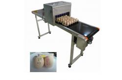 China Egg Automatic Batch Coding Machine Printing 120000 Characters Per Hour supplier