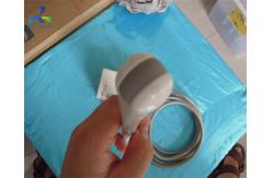 China 9Mhz Urology Endocavity Ultrasound Transducer Probe Siemens EC9-4 supplier
