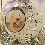 China PVC Plastic Keepsake Pet Memorial Ornament Shatterproof 3.9 Inch manufacturer