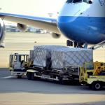 International Sea Freight to Fba Amazon Warehouse Logistics Shippng From China to USA for sale