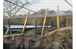 China Hand Woven X Tend Cable Mesh , Zoo / Animal Enclosure Wire Rope Ferrule Mesh supplier