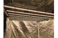 China 1000w Full Spectrum Greenhouse Horticulture LED Grow Lights supplier