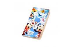 China Full colour Custom Lenticular Printing Picture File Pocket For Office PET Printing supplier