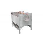 Vegetable Peeling Machine Hot Sell HDF800 Fish / Shrimp Cleaning Machine Automatic In India