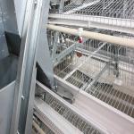 Full Automatic Laying Chicken Cages Egg Layer Cage For Africa Poultry Hens Farms for sale