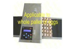 China The Whole Pallet Egg Printing Machine , Industrial Inkjet Printer For Eggs supplier