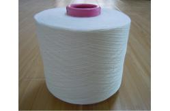 China 24F Polyester Spandex Covered Yarn ACY Earloop For Elastic Band supplier
