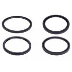 Customized Double Lips FKM Silicone Rubber Lip Seal for sale