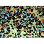 133 X 72 Patterned Polyester Twill Fabric With ECO - Freindly Material