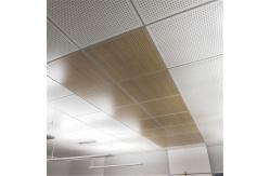 China 595x595 Aluminium Ceiling Panel Galvanized Steel Lay In Ceiling Tile supplier