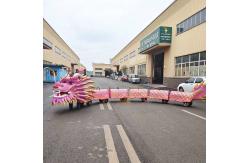 China Realistic Animatronic Dragon Ride Customization For Amusement Park supplier