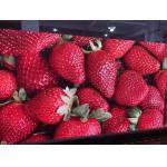 P3 LED Screen Indoor Full Color LED Display Supper High Definition For Advertising for sale