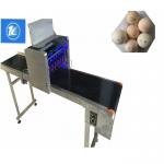 Small Character Egg Thermal Inkjet Printer With Unique Nozzle Alignment Feature for sale