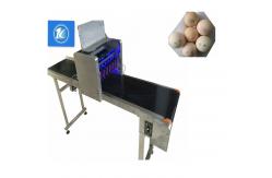 China Small Character Egg Thermal Inkjet Printer With Unique Nozzle Alignment Feature supplier