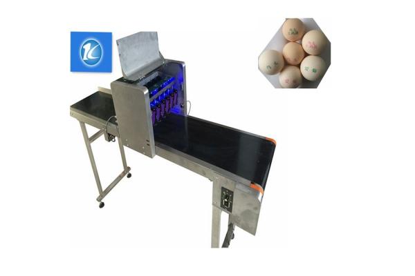 Small Character Egg Thermal Inkjet Printer With Unique Nozzle Alignment Feature