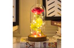 China MDF Wood Base Borosilicate D12xH20cm Glass Dome Cloche supplier