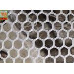 Hexagonal Plaining 13mm Extruded Plastic Netting for sale