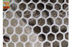 China Hexagonal Plaining 13mm Extruded Plastic Netting supplier