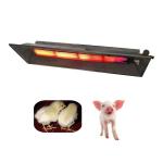 Natural Gas Ceramic Infrared Brooder Heater For Garage Or Workshop 4000pa for sale