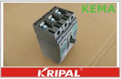 China KEMA Thermal Magnetic Molded Case Circuit Breaker Panel 250A 3P MCCB supplier