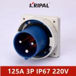 Single Phase 125A 5 pole IP67 IEC Waterproof Panel Mounted Plug for sale