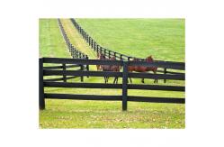 China 100% Vinyl Ranch Style Vinyl Fence Farm Four Rail Vinyl Fence supplier