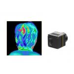 Body Temperature Screening Thermal Module Uncooled 384x288 17μM for sale