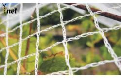 China 7GSM Bird Proof Net Green Bird Proof Netting For Fruit Trees supplier