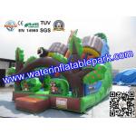 Custom Animal Inflatable Slide / Inflatable Dry Slide with Fire Resistant