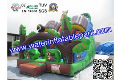 China Custom Animal Inflatable Slide / Inflatable Dry Slide with Fire Resistant supplier