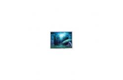 China 27.0 inch LCD Screen Module M270DAN13.0 CELL Lcd Display Panel supplier
