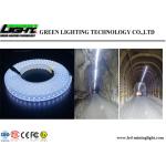 Outdoor LED Flexible Strip Lights 60 Leds / M High Brightness Fire Resistant for sale