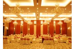 China Conference Room Folding Partition Walls Customers Own Material Finish supplier