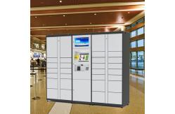 China Custom Smart Parcel Distribution Delivery Locker With Networking Management System supplier