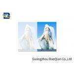 Lovely Animals 3D Image Lenticular Card Printing Two Sides CMYK Offset Printing