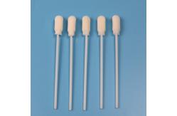 China ABS Stick 10cm Large Round Foam Tip Disposable Sampling Swab Sterile supplier