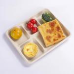 260MM Pakacging Sugarcane Bagasse Tray 5 Compartment Meal Tray Pulp Molded for sale