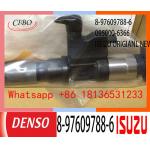 Neutral 8-97609788-6 095000-6366 ISUZU Fuel Injector