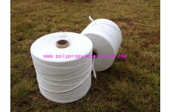 China 300KD 400KD Power Large Cable PP Filler Yarn Halogen Free supplier