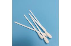 China Foam Tip Oral Mouth Collection Self Collected Nasal Swab , Sampling Flocked Swab supplier