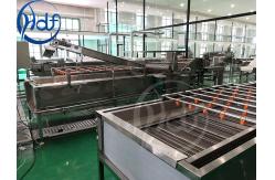 China Vegetable Fruit Washing Machine Salad Washing Machine Bubble Washer supplier