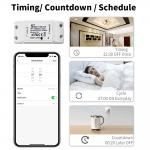 Tuya Alexa Timing Wifi Operated Switch Controller Module