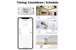 China Tuya Alexa Timing Wifi Operated Switch Controller Module supplier