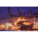 LCL Container Shipping for Special Cargo of Battery Chemical with Available Tracking for sale