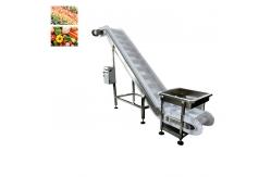 China Vegetable Fruit Frozen Food Inclined Conveyor Automatic Belt Chain Conveying supplier