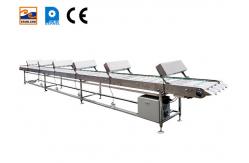 China Stainless steel column cooling conveyor belt with cooling fan supplier