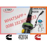 NINE BRAND High Quality Diesel Injector 4928104 Qsk19 Injector Fuel Injector 4928104 for sale