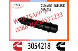 China Common Rail Injector 3047973 3071497 4914537 3054218 for Diesel Engine NT855 supplier